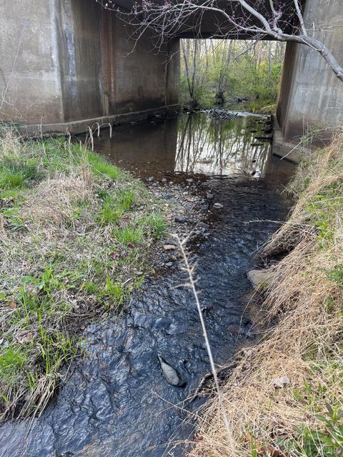 Tiny photo for 0 Old Courthouse Road, Appomattox, VA 24522 (MLS # 365567)