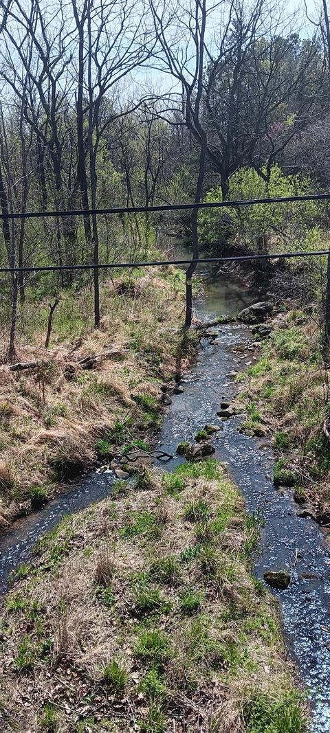 Tiny photo for 0 Old Courthouse Road, Appomattox, VA 24522 (MLS # 365567)