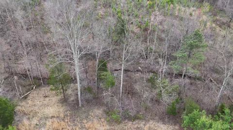 Tiny photo for 0 Old Courthouse Road, Appomattox, VA 24522 (MLS # 365567)