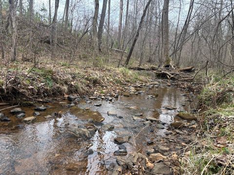 Tiny photo for 0 Old Courthouse Road, Appomattox, VA 24522 (MLS # 365567)