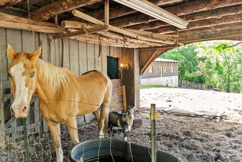 Tiny photo for 4067 Dickerson Mill Road, Bedford, VA 24523 (MLS # 362825)