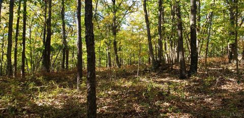 Vacant Land For Sale - Trey Court<br/> Madison Heights, VA 24572