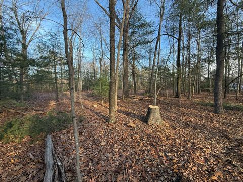 Tiny photo for 1 Lot Blue Sky Court, Monroe, VA 24574 (MLS # 363709)