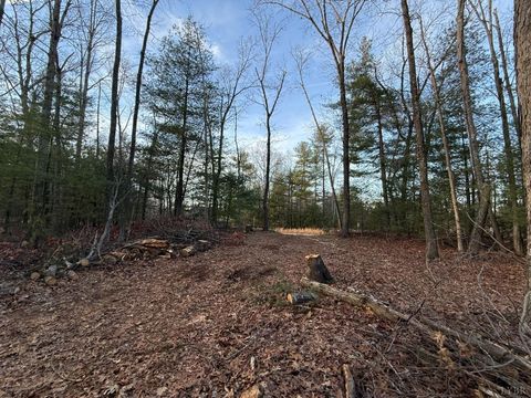 Tiny photo for 1 Lot Blue Sky Court, Monroe, VA 24574 (MLS # 363709)