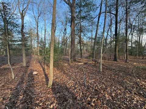 Tiny photo for 1 Lot Blue Sky Court, Monroe, VA 24574 (MLS # 363709)