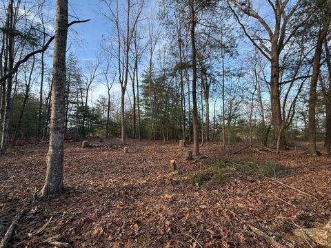 Tiny photo for 1 Lot Blue Sky Court, Monroe, VA 24574 (MLS # 363709)