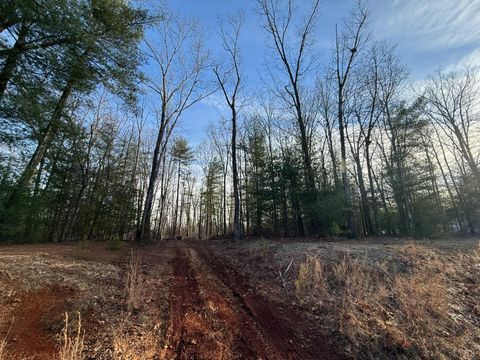 Tiny photo for 1 Lot Blue Sky Court, Monroe, VA 24574 (MLS # 363709)