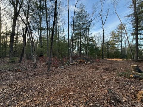 Tiny photo for 1 Lot Blue Sky Court, Monroe, VA 24574 (MLS # 363709)