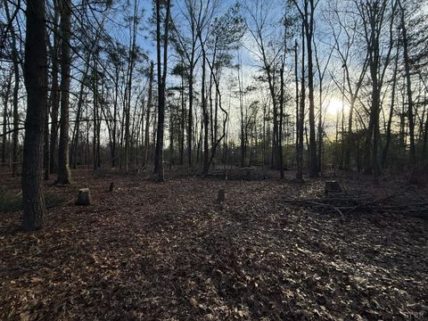 Tiny photo for 1 Lot Blue Sky Court, Monroe, VA 24574 (MLS # 363709)