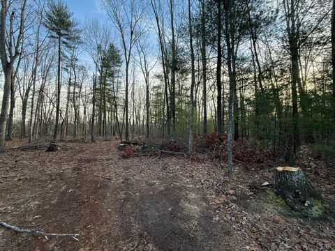 Tiny photo for 1 Lot Blue Sky Court, Monroe, VA 24574 (MLS # 363709)