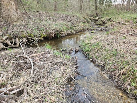 Tiny photo for 0 S James River Road, Buckingham, VA 23921 (MLS # 365524)