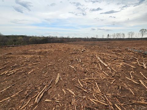 Tiny photo for 0 S James River Road, Buckingham, VA 23921 (MLS # 365524)