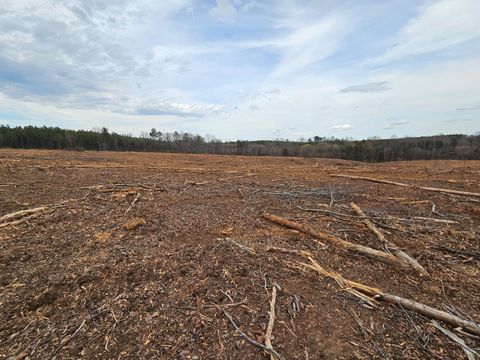 Tiny photo for 0 S James River Road, Buckingham, VA 23921 (MLS # 365524)