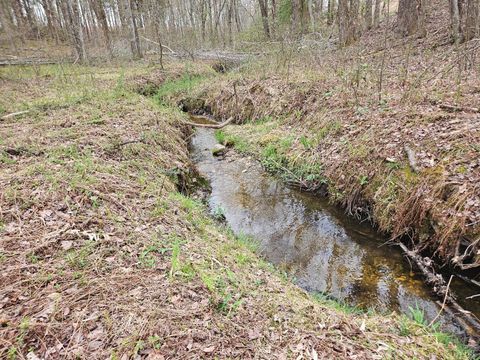 Tiny photo for 0 S James River Road, Buckingham, VA 23921 (MLS # 365524)