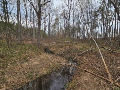 Tiny photo for 0 S James River Road, Buckingham, VA 23921 (MLS # 365524)