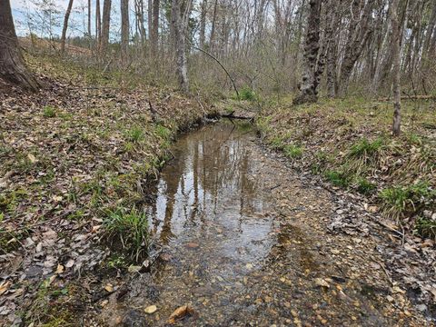 Tiny photo for 0 S James River Road, Buckingham, VA 23921 (MLS # 365524)