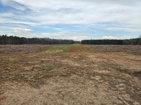 Tiny photo for 0 S James River Road, Buckingham, VA 23921 (MLS # 365524)