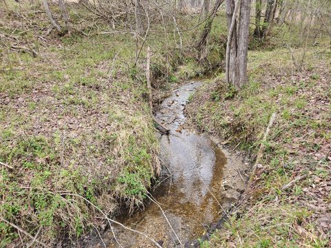 Tiny photo for 0 S James River Road, Buckingham, VA 23921 (MLS # 365524)