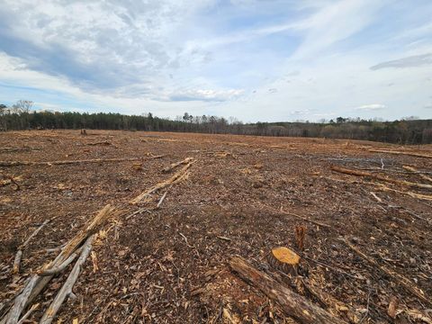 Tiny photo for 0 S James River Road, Buckingham, VA 23921 (MLS # 365524)