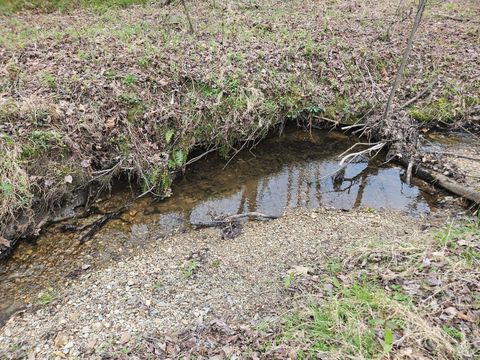 Tiny photo for 0 S James River Road, Buckingham, VA 23921 (MLS # 365524)