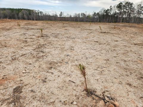 Tiny photo for 0 S James River Road, Buckingham, VA 23921 (MLS # 365524)