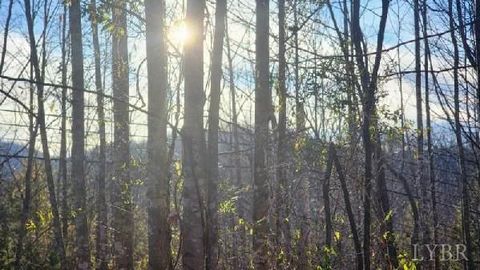 Tiny photo for 0 Jackrabbit Lane, Coleman Falls, VA 24536 (MLS # 364236)