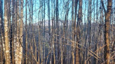 Tiny photo for 0 Jackrabbit Lane, Coleman Falls, VA 24536 (MLS # 364236)