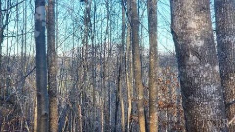Tiny photo for 0 Jackrabbit Lane, Coleman Falls, VA 24536 (MLS # 364236)