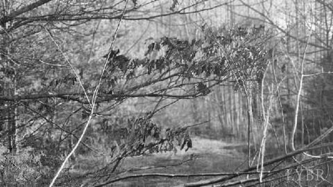 Tiny photo for 0 Jackrabbit Lane, Coleman Falls, VA 24536 (MLS # 364236)