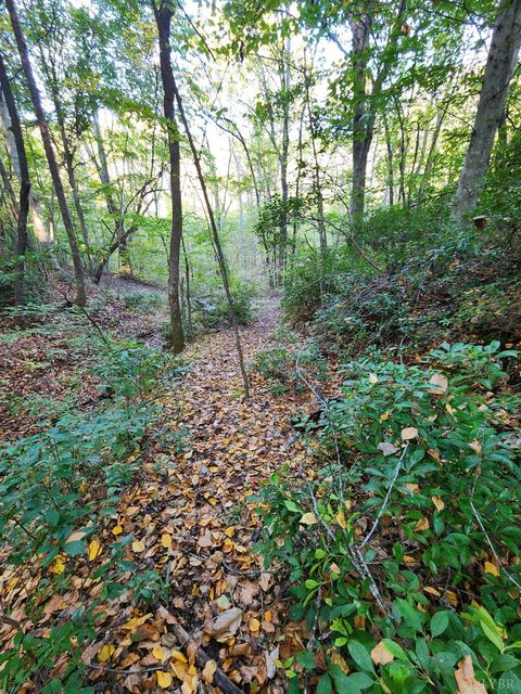 Tiny photo for 0 River Bottom Lane, Concord, VA 24538 (MLS # 366290)