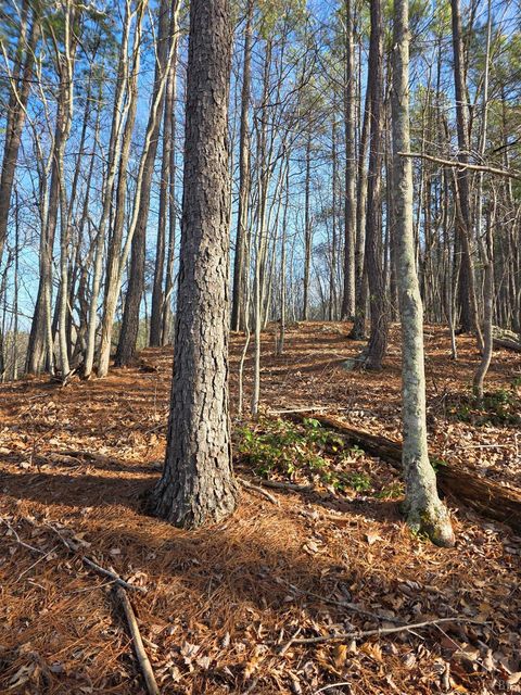 Tiny photo for 0 River Bottom Lane, Concord, VA 24538 (MLS # 366290)