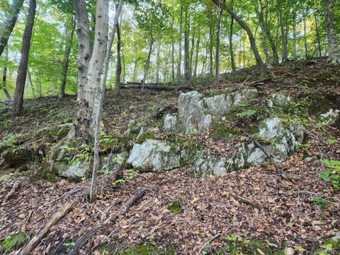 Tiny photo for 0 River Bottom Lane, Concord, VA 24538 (MLS # 366290)