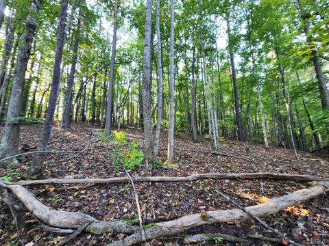 Tiny photo for 0 River Bottom Lane, Concord, VA 24538 (MLS # 366290)