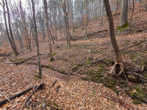 Tiny photo for 0 River Bottom Lane, Concord, VA 24538 (MLS # 366290)