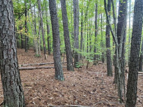 Tiny photo for 0 River Bottom Lane, Concord, VA 24538 (MLS # 366290)