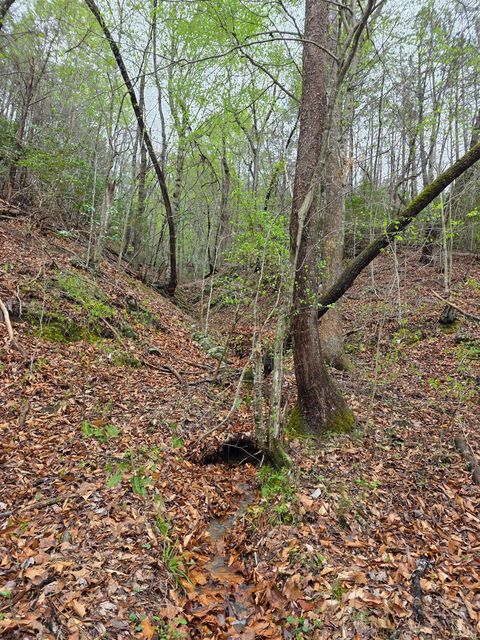 Tiny photo for 0 River Bottom Lane, Concord, VA 24538 (MLS # 366290)
