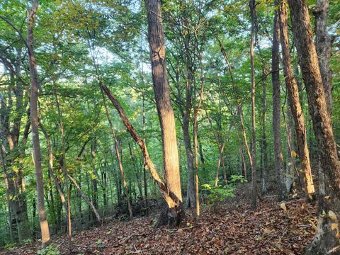 Tiny photo for 0 River Bottom Lane, Concord, VA 24538 (MLS # 366290)