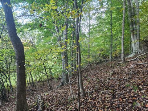 Tiny photo for 0 River Bottom Lane, Concord, VA 24538 (MLS # 366290)