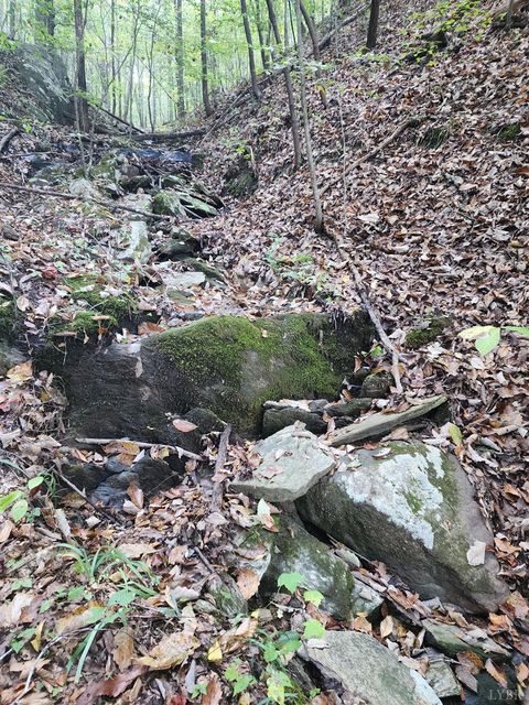 Tiny photo for 0 River Bottom Lane, Concord, VA 24538 (MLS # 366290)