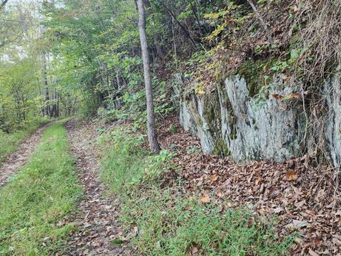 Tiny photo for 0 River Bottom Lane, Concord, VA 24538 (MLS # 366290)