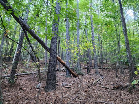 Tiny photo for 0 River Bottom Lane, Concord, VA 24538 (MLS # 366290)