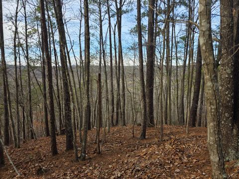 Tiny photo for 0 River Bottom Lane, Concord, VA 24538 (MLS # 366290)
