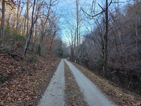 Tiny photo for 0 River Bottom Lane, Concord, VA 24538 (MLS # 366290)