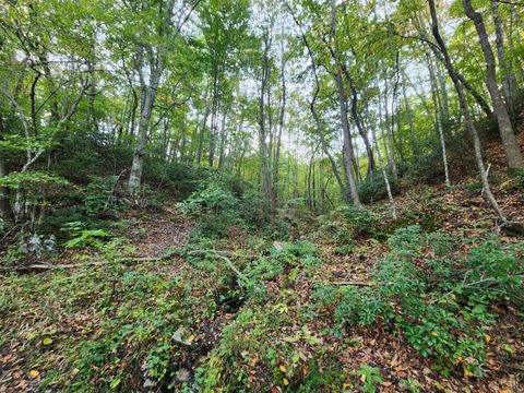 Tiny photo for 0 River Bottom Lane, Concord, VA 24538 (MLS # 366290)