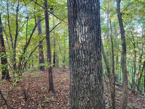 Tiny photo for 0 River Bottom Lane, Concord, VA 24538 (MLS # 366290)