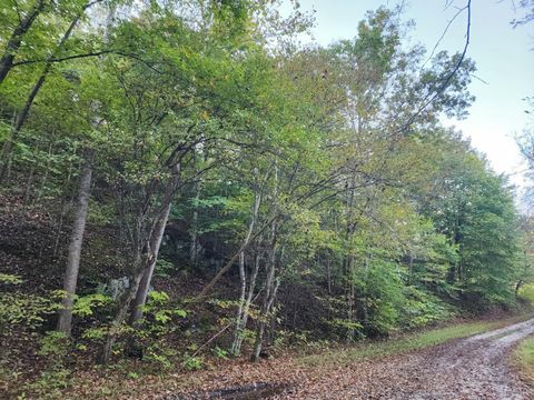 Tiny photo for 0 River Bottom Lane, Concord, VA 24538 (MLS # 366290)