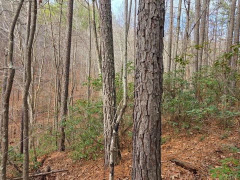 Tiny photo for 0 River Bottom Lane, Concord, VA 24538 (MLS # 366290)