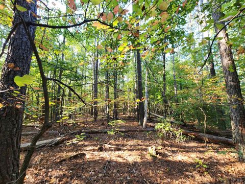 Tiny photo for 0 River Bottom Lane, Concord, VA 24538 (MLS # 366290)