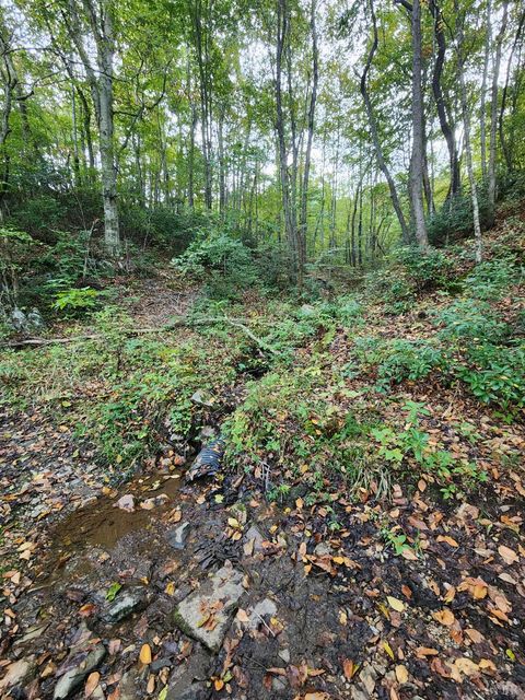 Tiny photo for 0 River Bottom Lane, Concord, VA 24538 (MLS # 366290)