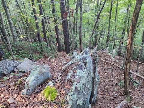 Tiny photo for 0 River Bottom Lane, Concord, VA 24538 (MLS # 366290)